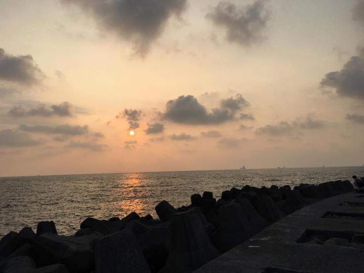 14079741_10209241765548702_2502567092673064906_n